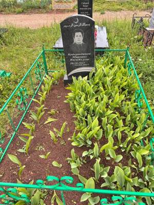 Бадертдинов Миргаяз Вагизович
