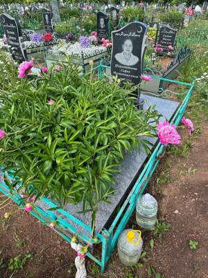 Шайхутдинова Сафия Мугтамишаевна