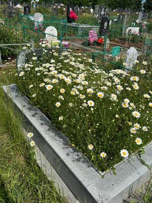 Галлемова Альбина Амировна