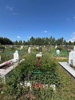 Сабирова Альфия Ганиевна