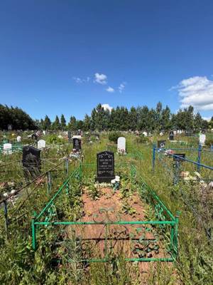 Мухлисов Ирек Сафуанович