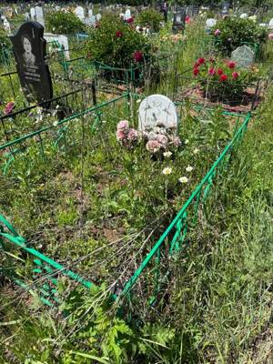 Хафизова Асия Мугтасимовна