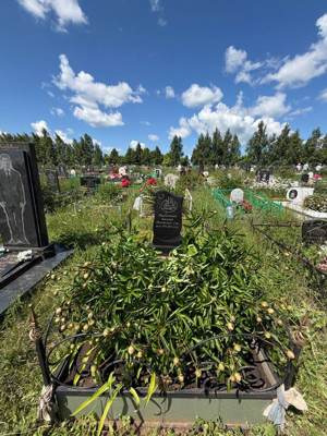 Миннегалиев Касыйм Ахметгалиевич