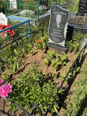 Галиева Мадина Ярулловна