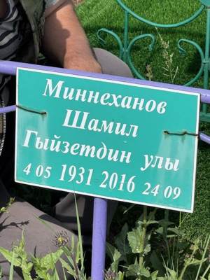 Миннеханов Шамиль Гизетдинович