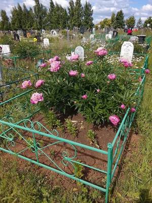 Шайхлисламов Сагдат Махмурахманович