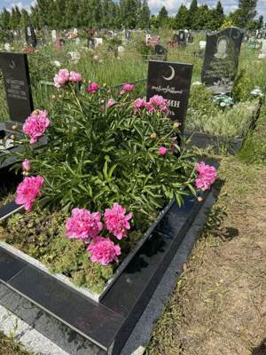 Сафин Сагит Калимуллович