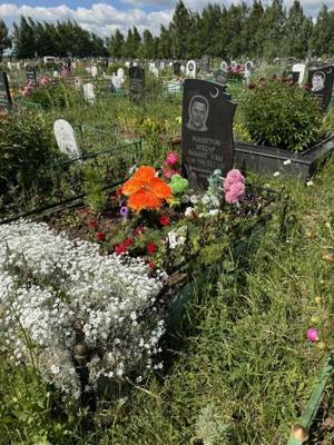 Рашитов Ильдар Рамилевич