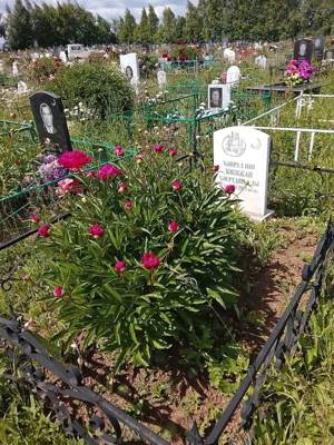 Хайруллин Закижан Хаертдинович