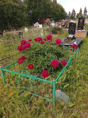 Галлямов Джавдат Габдрафикович