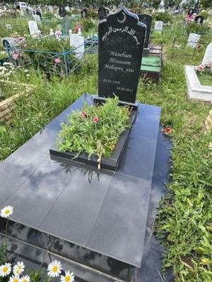 Минебаев Тальгат Мубаракович