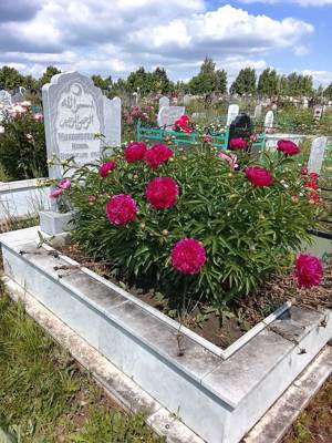 Мухаметшин Наиль Нурлыгаянович