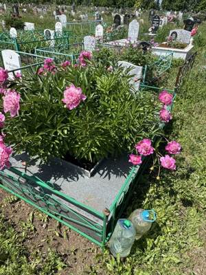 Шайхетдинов Рамиль Касимович