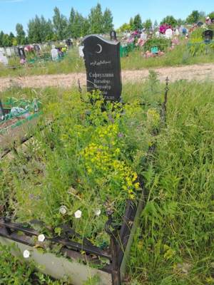 Сафиуллина Нагима Мирзануровна