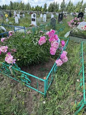Фазлуллин Фахим Сибгатуллович