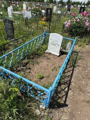 Газизов Мизхат Габделхакович