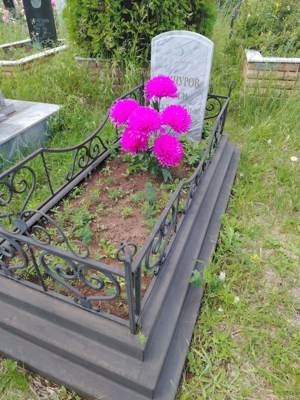 Зиннуров Наиль Галимович