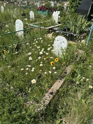 Гарипова Жаннат Сулеймановна