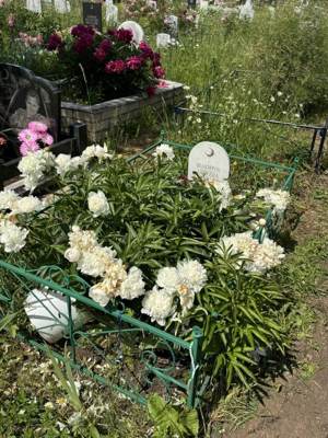 Шакиров Абдулла Ильнурович