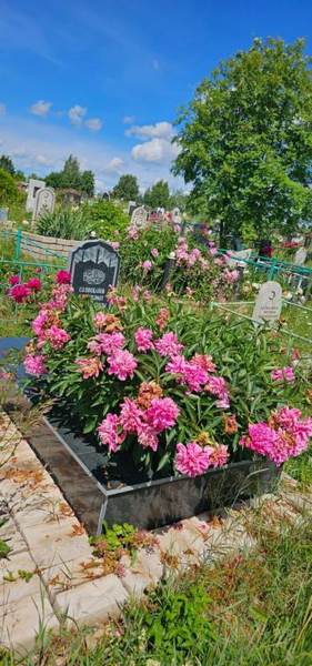 Салимжанов Миннехамат Нигматзянович
