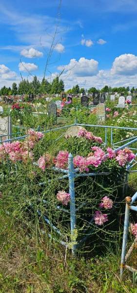 Сулейманов Ильгизар Сагитович