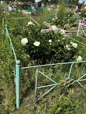 Сагадетдинова Минсафа Сагадетдиновна