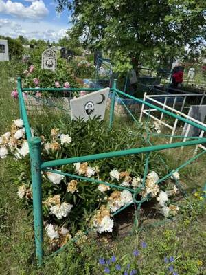Алишев Марс Шириязданович