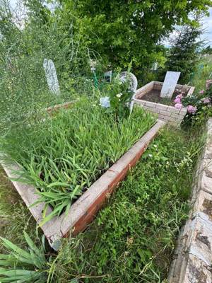 Исламова Танзиля Шакировна