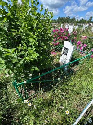 Киреев Шмитд Гильметбаянович