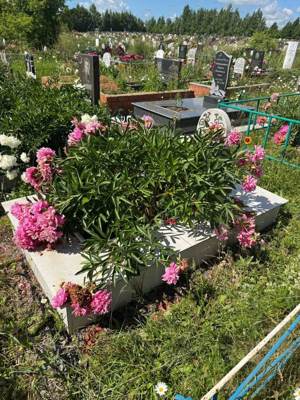 Абдуллина Тазкира Зиннуровна