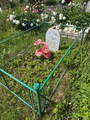 Искандаров Рустем Анисович
