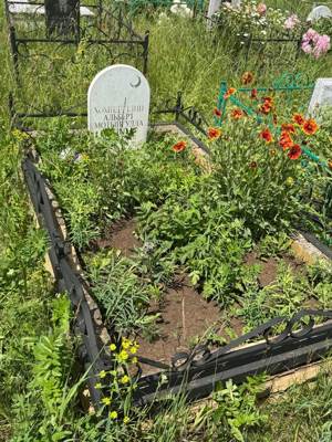 Хамидуллин Альберт Мотыйгуллович
