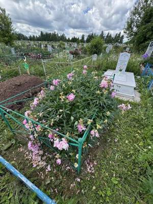 Закирова Фания Газизулловна