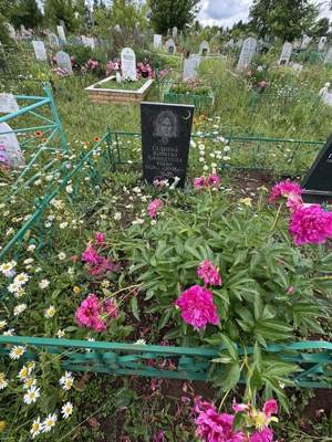 Галиева Джамиля Хамидулловна