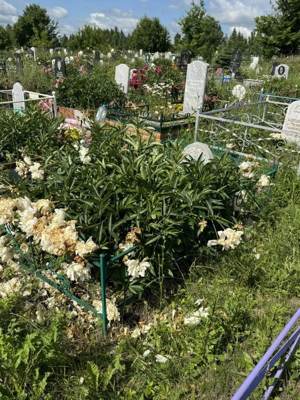Каримов Ирек Анварович