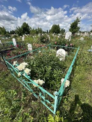 Ибраев Миннемухаммат Шамсетдинович