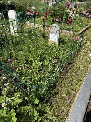 Ахмадиев Роберт Рашитович
