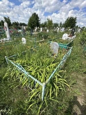 Зиннатуллина Ильгиза Самигулловна