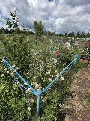 Гайнуллин Хадис Хакимзянович