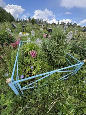 Хасанова Мунира Зариповна