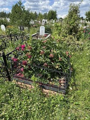 Марданшин Мияссар Надершевич