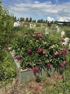 Гараева Назия Абдулловна
