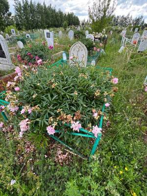 Габдрахманова Рима Самигулловна