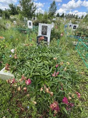 Саетгараева Асия Салихзяновна