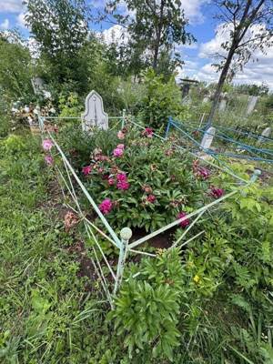 Фазуллина Шарафельбанат Гарифулловна
