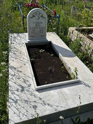 Галиева Елена Камиловна