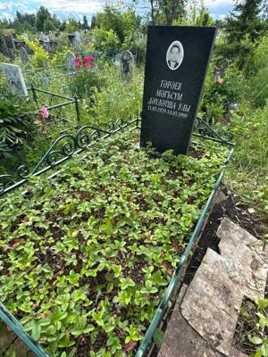 Гареев Магсум Давлетшевич