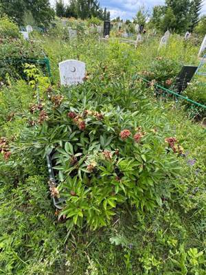 Тимербаев Халил Абдерахманович