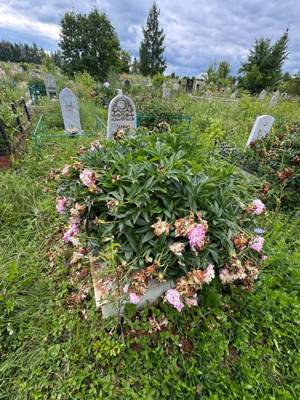 Галимов Мунир Хаматшевич