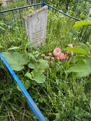 Зарипова Гулюса Минхрановна